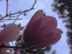 -荔湾湖公园