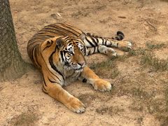 -西霞口神雕山野生动物世界