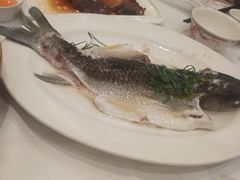-稻香酒家·35年老字号(侨光店)
