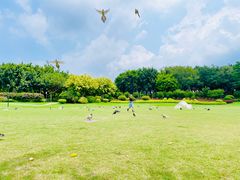 -白鹭洲公园
