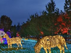 -鄂尔多斯野生动物园