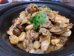 土鸡炒板栗-道南書院·私房菜·早午茶·茶馆