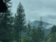 -廖哥泡椒兔(峨眉店)