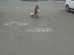 -天兴居(大兴店)