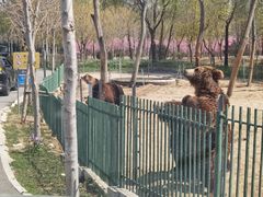 -秦皇岛野生动物园