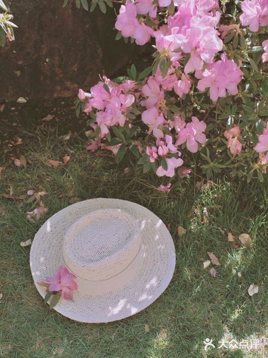 琴亭湖公园图片