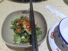 -九寨特色牦牛肉汤锅 羊肉汤锅