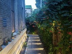 -庐灶江南·江南菜·四合院Bistro(东直门雍和宫·原华侨宾馆店)