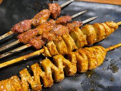 -刘成杰锦州烧烤(南河路店)