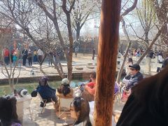 -春风习习