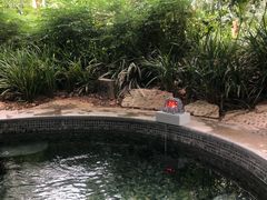 -青城道汤池