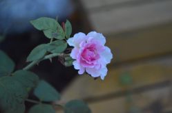 -陶然瑜伽馆