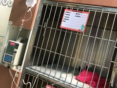 -瑞派宠物医院·24h·骨外科·皮肤科·全科宠物医疗转诊中心(沈阳浑南院)