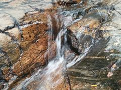 -鲁山国家森林公园