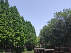 -乌镇东栅景区
