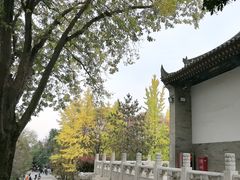 -大慈恩寺(大雁塔)