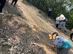 -青龙山国家森林公园