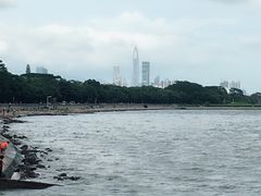 -深圳湾公园(南山区)
