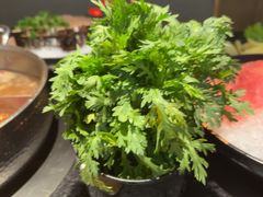 -晓宇重庆火锅(西安荟聚店)