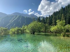 -黄龙山原始森林景区
