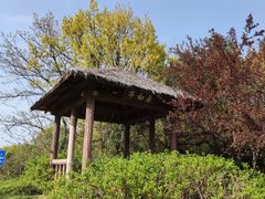-宝界山林公园