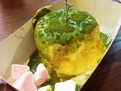 -狐狸和向日葵(北京路店)