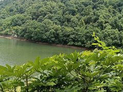 -桃花岭景区