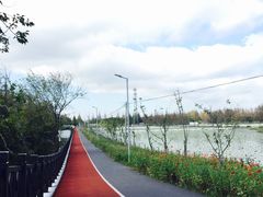 -上海长兴岛郊野公园