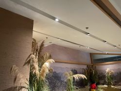 -造物庄园 萌宠纪(苏州湾歌林公园店)