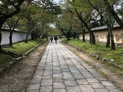 -醍醐寺
