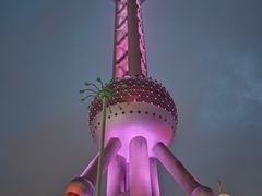 -东方明珠老上海8号餐厅(东方明珠广播电视塔店)