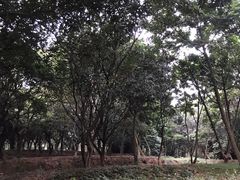 -天河儿童公园