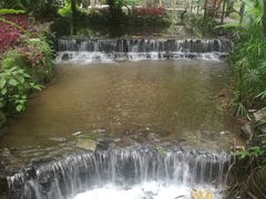 -莫里热带雨林景区