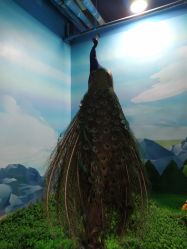 -酷嗒动物文化乐园(cutezoo西溪乐天城店)