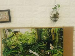 -平行世界·猫咖(首经贸店)
