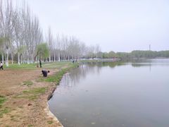 -秀水公园