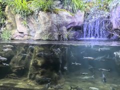 -南昌海洋公园