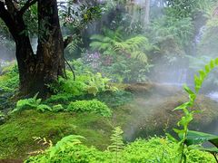 -Chom Cafe and Restaurant