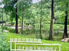 -云溪植物园