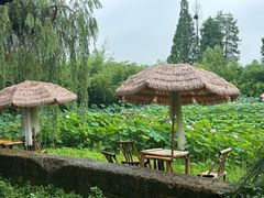 -百翠山居.家飨餐厅