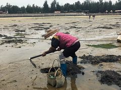 -北海金海湾红树林生态旅游区