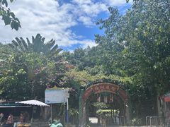 -瑞丽独树成林风景区