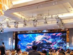 大堂-金苑海鲜酒家(来魅力店)