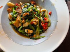 -鸽子窝(宋庄店)