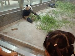 -西安秦岭野生动物园