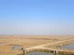 -盐城丹顶鹤湿地生态旅游区