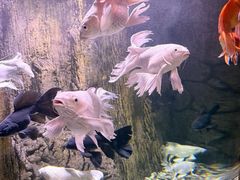 -多彩贵州城极地海洋世界