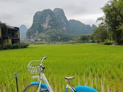 -明仕田园