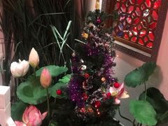 -芦月轩羊蝎子(劲松店)