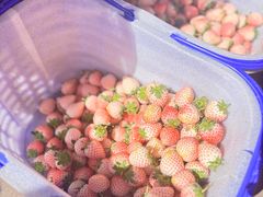 -大板桥综合市场(隆兴购物中心店)